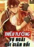 thieu-tuong-vo-ngai-noi-gian-roi-doc-truyen-online